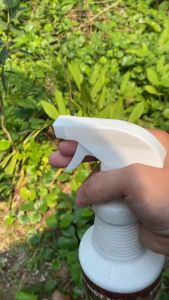 Đầu vòi xịt gắn chai thay thế bình xịt tưới cây