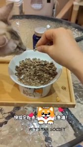 Minyak Ikan Tung-Hai 500 Capsules: Manfaat & Cara Menggunakannya