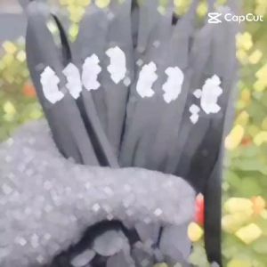 5 Pasang Serampat Sandal/Tali Sendal Japit  Pria Jepit Premium Kekinian