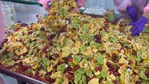 vegetables and fruits chips dried mixed fruits and veggies dried vegetables snacks dried vegetables and fruits 300g