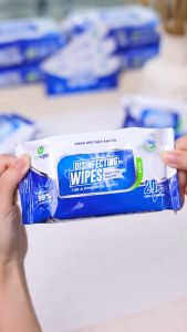 KHO THỦ ĐỨC_Combo 03 Gói Khăn Ướt Diệt Khuẩn EcoWipes 20 tờ/gói Hương Chanh Xả Diệt 999% Vi Khuẩn