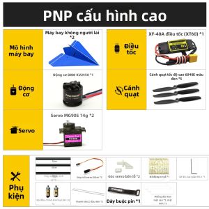Mô Hình RC Đam Mê Cánh Tam Giác Máy Bay Lượn Điện 1m Sải Cánh