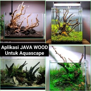 Kayu Akar Java Wood untuk bahan Aquascape Hiding Tangkringan Hewan Peliharaan dll