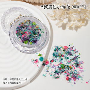 Gói phụ kiện móng tay hoa đầy màu sắc DIY Trang trí hoa khô phong cách Nhật Bản cho móng tay nghệ thuật