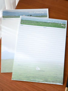 B5 Size Life Is the Wilderness Notepad Tearable Pages High Aesthetic Landscape Illustrations for Study And Work Handwritten Letter Paper