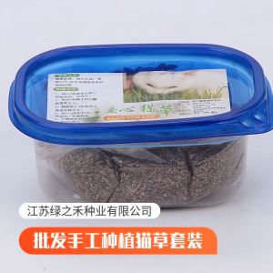 หนังสาวหญ้า ข้าวสาลีแมว ต้น ช่อง 10 กรุน ปลูกง่าย ออร์แกนิค เสริมสร้างภูมิคุ้มกัน ลดกลิ่นมูลสัตว์เลี้ยง