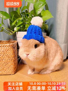 พร้อมส่งหมวกตกแต่งรูปกระต่ายหมูฮอลแลนด์แฮนด์เมดหมวกไหมพรมให้ความอบอุ่นให้ความอบอุ่นกระต่ายสัตว์เลี้ยงกระต่ายแมวและกระต่ายแมว