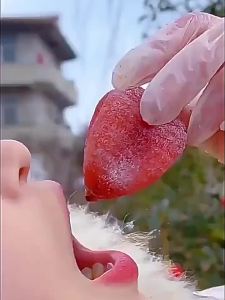 Gourmet Butter Heart Shaanxi Persimmon Dried Premium
