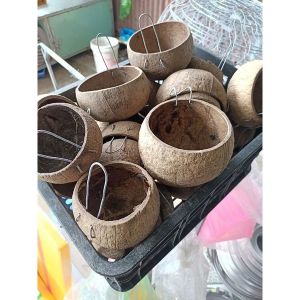 Gáo dừa cho gà ăn uống