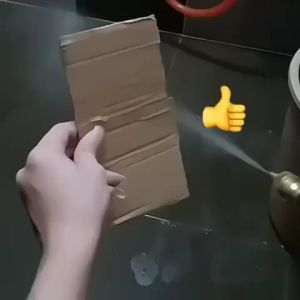 Water Jet High Pressure Cleaning Pump Car Wash 12V/240V Double Machine Cleaning Tools Cuci Kereta/Cuci Aircond