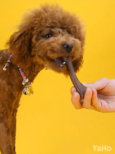 Dog Chew Yaho Bone Teething Stick Dog Chewing Beef Bone Snack Dental Care Training Treats 25g