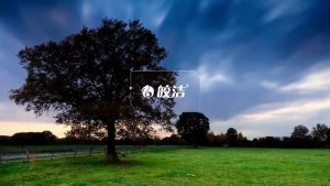 Jiaojie Insecticide Cockroach Ant Killer Household Indoor Outdoor Garden Insect Repellent Powder Cockroach Powder