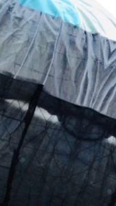 Mùng gà đá Mùng chụp bội gà đá tránh muỗi gió nắng và đặc biệt tránh kẻ gian nhìn gà Mùng gà siêu bền