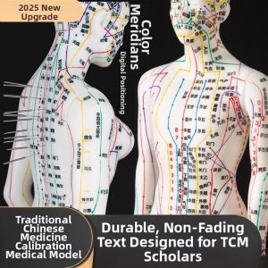 Acupuncture Practice Bronze Man Acupuncture Points Meridian Model Full Body
