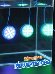 MODI โคมไฟสระว่ายน้ำโซล่าเซลล์ แพ็คคู่ สีRGB โคมไฟใต้น้ำ ระดับกันน้ำIP67 สายไฟยาว1เมตร หลากสี