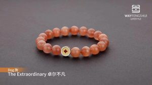 The Extraordinary Bracelet 卓尔不凡手链【Way Fengshui Lifestyle】