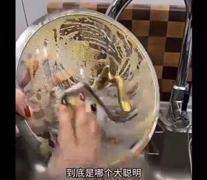 Lap Dapur Kawat Halus Cuci Piring Tidak Merusak Panci Dan Membersihkan Sempurna