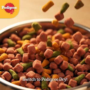 PEDIGREE Adult Dog Food Dry Dog Food Beef And Vegetable Flavor 500g