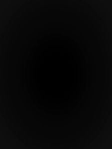 Multifunction Stainless Steel Kitchen Scissors | Quality Japanese Ergonomic Handle Heavy Duty Poultry Shear