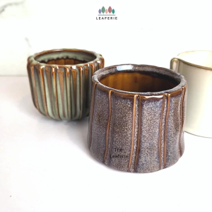 The Leaferie Petit Pots (Series 19) small plant pot . flowerpot flower planter planters succulent