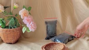 Đậu Đen Xanh Lòng Hữu Cơ 500g 2c Mart