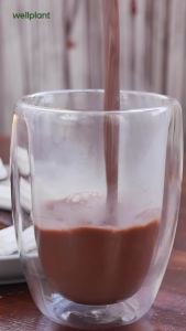 โปรตีนพืช 700 กรัม (14 ซอง) Swiss Chocolate คุ้มค่า อิ่มนาน | wellplant