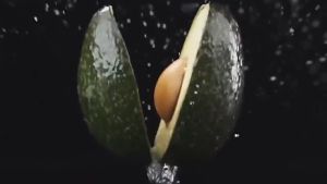 Payung Hujan / Payung Lipat Magic 3D dengan Motif yang Muncul ketika Basah