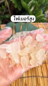 ลูกชิดอบแห้ง 200 กรัม ขนาดพกพา หวานจากธรรมชาติ คีโตทานได้ เส้นใยและวิตามินสูง