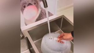 Water Bucket Foldable Galon Air Lipat 3 Liter Kantong Air Lipat 3 L