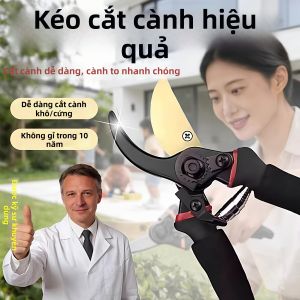 Heavy Branch Garden Pruning Shears
