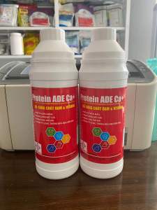 (Tặng kèm lọ chiết) PROTEIN ADE CA+ (1lít) daeyong bổ sung đạm vitamin nâng cân đẹp mã bung lông bật cựa đẻ nhiều trứng đẹp thế hệ mới