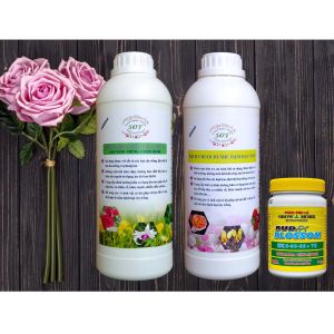Combo bộ phân bón hoa hồng SOF