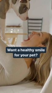 Oxyfresh® Pet Dental Mouth Spray - Dog Toothpaste & Cat Toothpaste | Spray Ubat Gigi Kucing (89ml) (EXPIRY:JAN 2026)