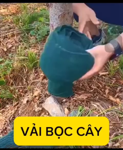 VẢI QUẤN CÂY CÔNG TRÌNH VẢI GIỮ ẤM GIỮ ẨM CHO CÂY CÁCH NHIỆT...