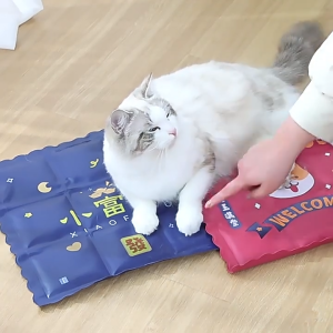 Đệm gel nước làm mát đa năng thảm làm mát cho Chó mèo hình vuông 36*36cm (mẫu mới) - Love Pets Shop