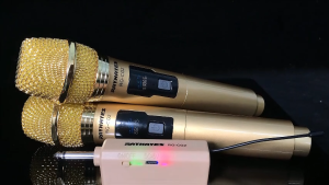 RAYHAYES Professional Wireless Microphone UHF Handheld Rechargeable Dynamic Microphone For Karaoke