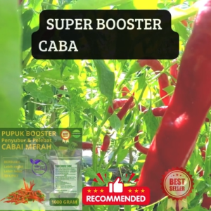 Pupuk organik booster perangsang pelebat cabai  merah 1 kg cepat berbuah tidak mudah rontok