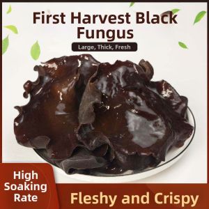 Northeastern Specialty Authentic Commercial Quality Longbaishan Small Bowl Ear Dried Fungus 500g