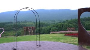 Garden Rack Wrought Iron Outdoor Arch Wall Trellis For Climbing Plants Garden Arch Stand Flower Grape Arched