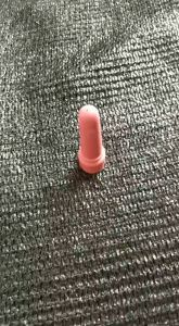 Dot Pedet Anak Sapi Cempe Kambing Domba Merah