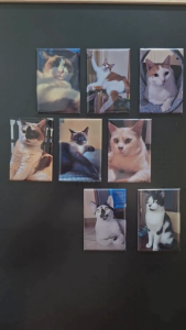 Customized fridge magnet / photo magnets as gift or souvenirs for events and other occasions