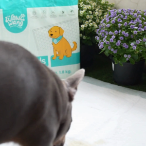 โปรโมชั่นราคาพิเศษ Early Bird Price  [3 แพค] WangWang แผ่นรองซับสัตว์เลี้ยงพรีเมี่ยม 90x60 ซม. – ซึมซับดี แห้งไว ลดกลิ่น ไม่ซึมเปื้อน