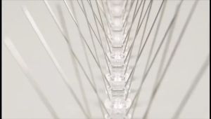 Anti Pigeon Nail Bird Deterrent Tool Anti Pigeon Nail Bird Deterrent Tool