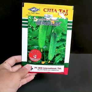 BENIH TIMUN HIBRIDA F1 - HERCULES - 25 gram - Cap Kapal Terbang - benih sayuran harmoni plus lumintu
