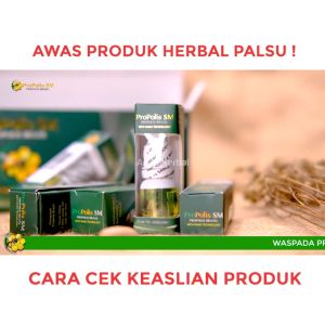 Propolis SM Brazil Original 100% Propolis Brazil Asli - Azizah Herbal Indonesia