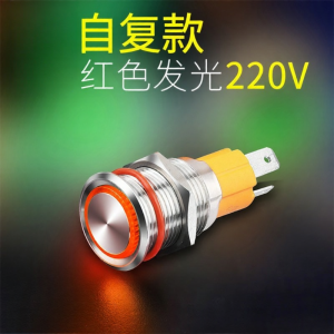 LANBOO | Illuminated High-Current Waterproof Self-Locking Reset Universal Switch 10A
