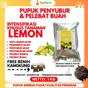 Pupuk Pelebat Buah Lemon: Panduan Lengkap