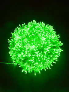 BEAUTY IN THE LIGHT | Green LED Flashing String Lights
