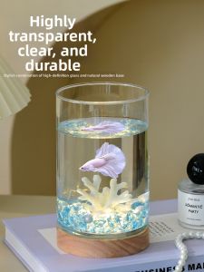 CHONGXIAOSHUAI | Glowing Desktop Small Fish Tank Ecological Aesthetic