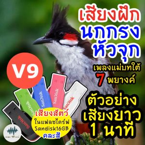 เสียงนกกรงหัวจุกV9 แม่บทใต้7พยางค์ เมม/แฟลชไดร์ฟ ฝึกนกกรงหัวจุก มีเก็บเงินปลายทาง เสียงจริง ชัดแจ๋ว 100% ไม่มีโฆษณาแทรก (MP3 เสียงต่อสัตว์)
